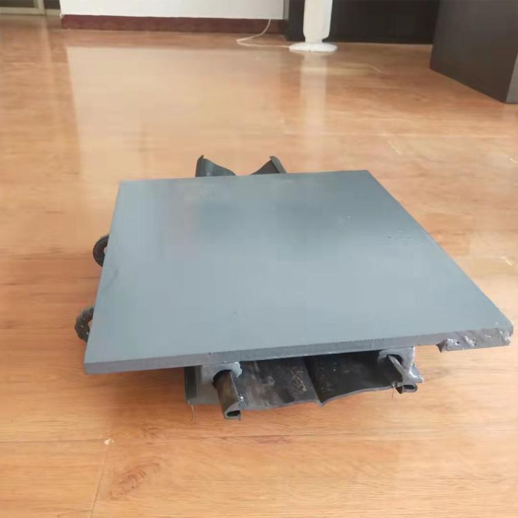 桥梁伸缩缝安装大型卸货平台伸缩缝厂家F型伸缩缝