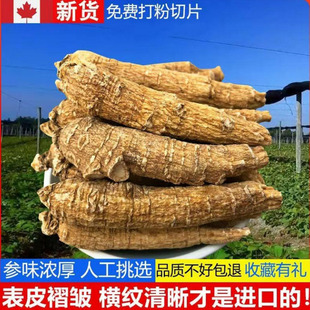 加拿大进口西洋参整根原装正品优质西洋参整根美国花旗参片非野生