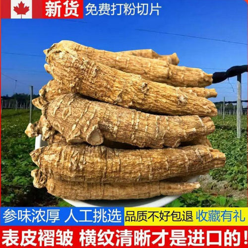 8年加拿大进口500g西洋参正品