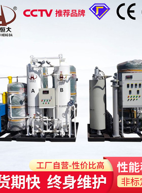 PSA变压吸附煤矿防爆制氮机 大型工业碳载纯化氮气发生器设备厂家
