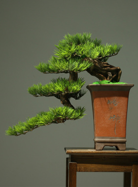 仿真迎客松绿植盆景花架家居新中式酒店茶室盆栽玄关