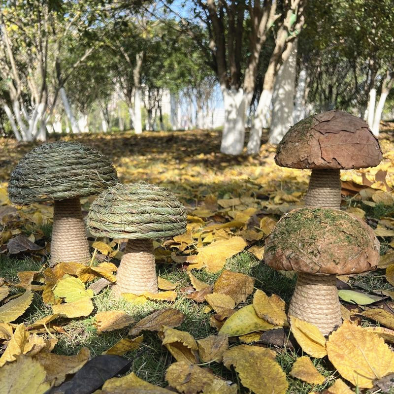 仿真蘑菇田园幼儿园森系植物角户外花园景观别墅庭院品