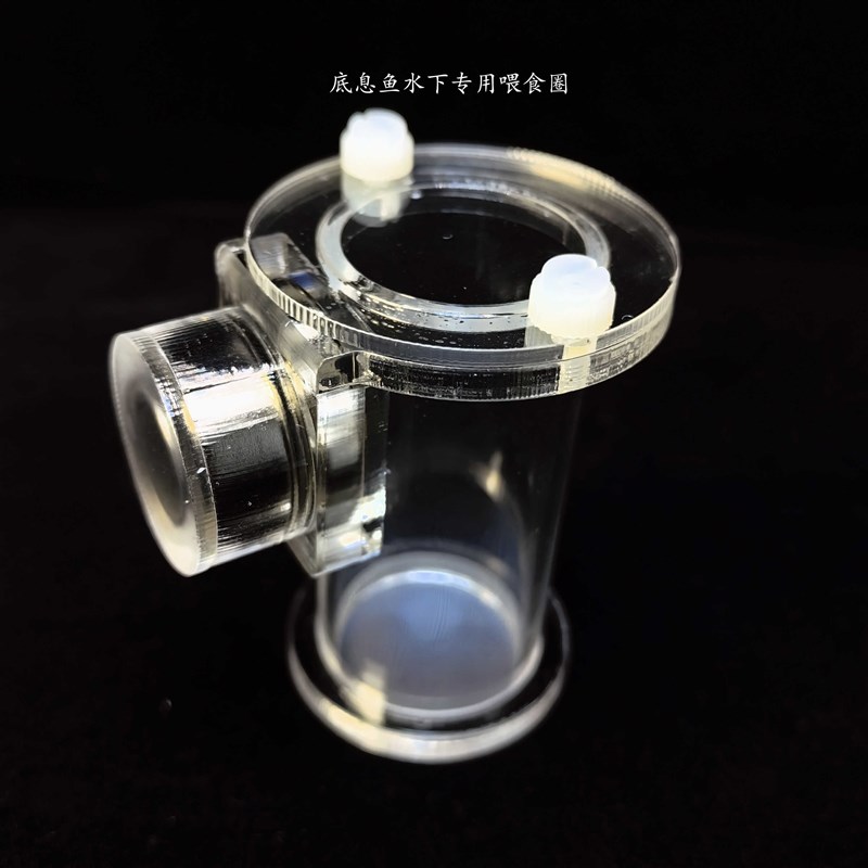 下丰年虾喂食器 鱼虫喂食圈海缸青蛙吸鳅 强磁吸附底息鱼