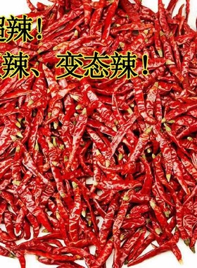干辣椒特辣微辣河南新一代朝天椒小米辣椒段面印度魔鬼辣椒面商用