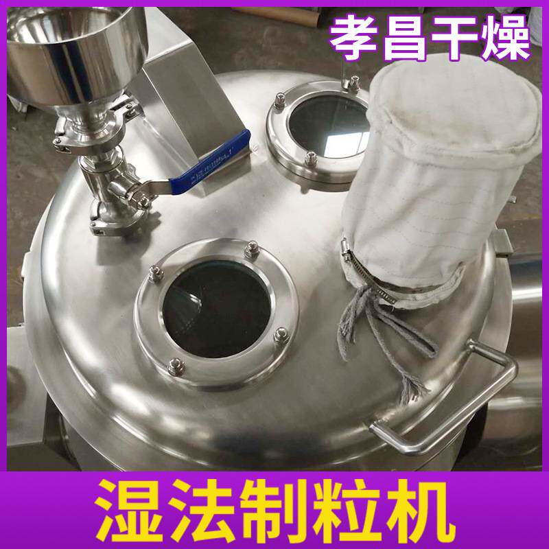 食用盐湿法制粒机 味精白糖湿法制粒机 藕粉冲剂混合造粒设备厂家