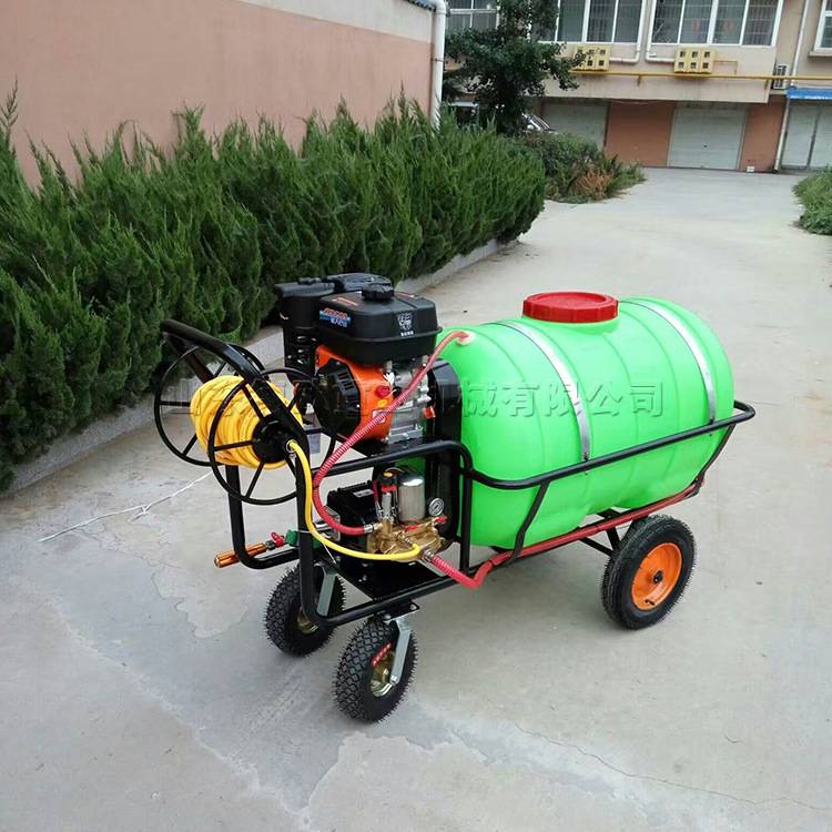 手推式喷雾打药机 园林防护消杀打药机 汽油动力果园大棚喷药机