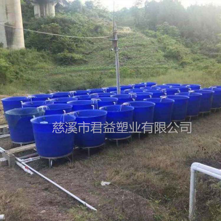 鱼苗养殖用塑料桶 鱼卵孵化桶 水循环工厂化养殖桶