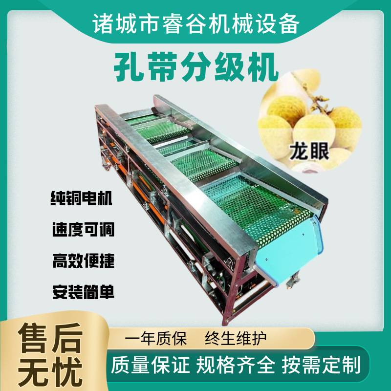 新款龙眼筛选机 孔带分选设备 商用香菇分选机 全自动香菇分级机