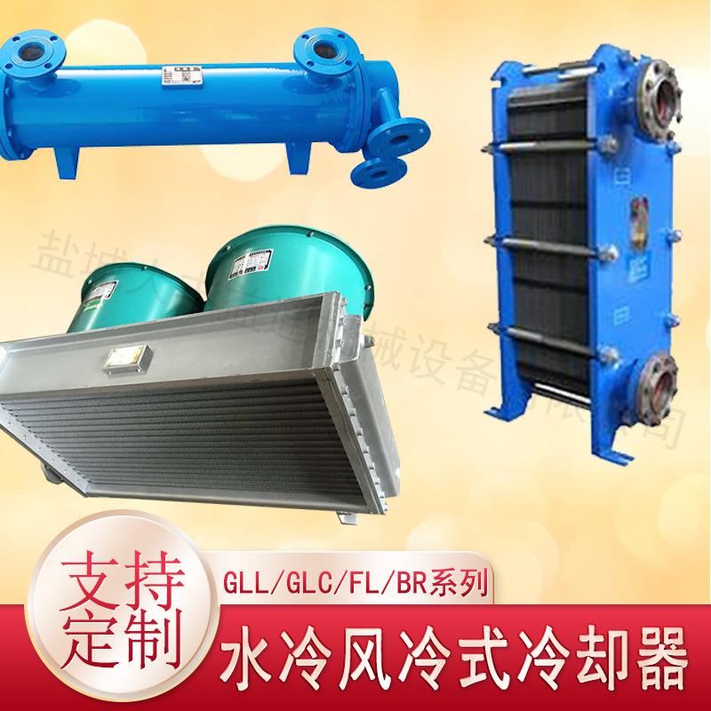 FL-20平方空气（风）冷却器