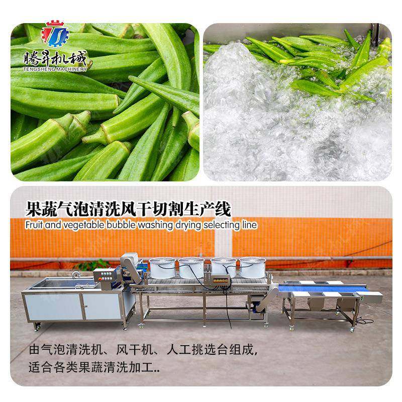 果蔬气泡清洗风干挑选生产线 挑选台 风干机 气泡清洗机,清洗/食品/商业设备,果蔬加工设备,淘宝优惠券,粉丝福利购,淘宝优惠卷