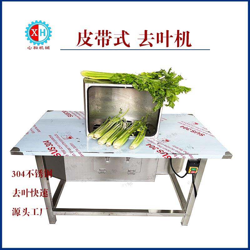 全自动蒲芹摘叶机 商用大型白芹去叶机 不锈钢胡芹去叶设备