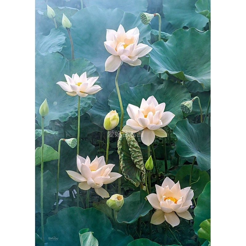玄关餐厅方钻满钻钻石画竖版花卉莲花荷花贴钻印花十字绣