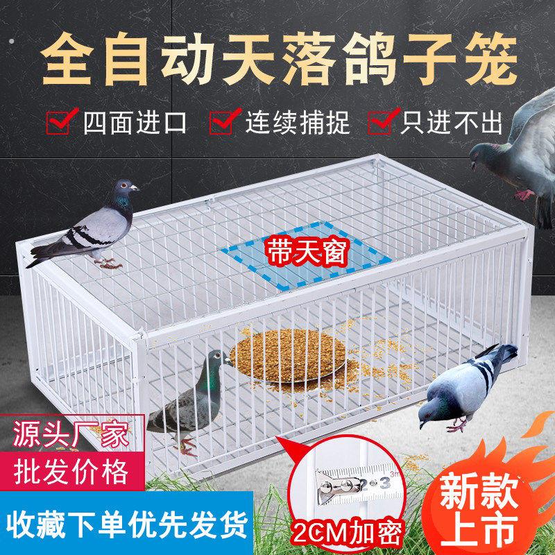 捕鸽神器自动天落笼 户外加粗捕鸽围网 赛鸽捕捉工具 信鸽捕捉笼