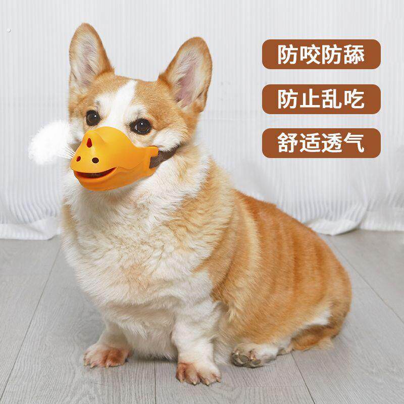 宠物狗狗嘴套嘴巴套止吠器柯基防乱吃防叫口罩嘴罩小型犬防咬用品
