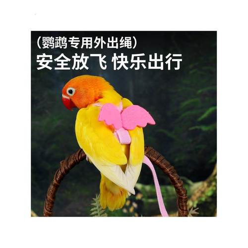 鸟用放飞绳玄凤虎皮牡丹牵引绳飞行外出背带遛鸟用品玩具