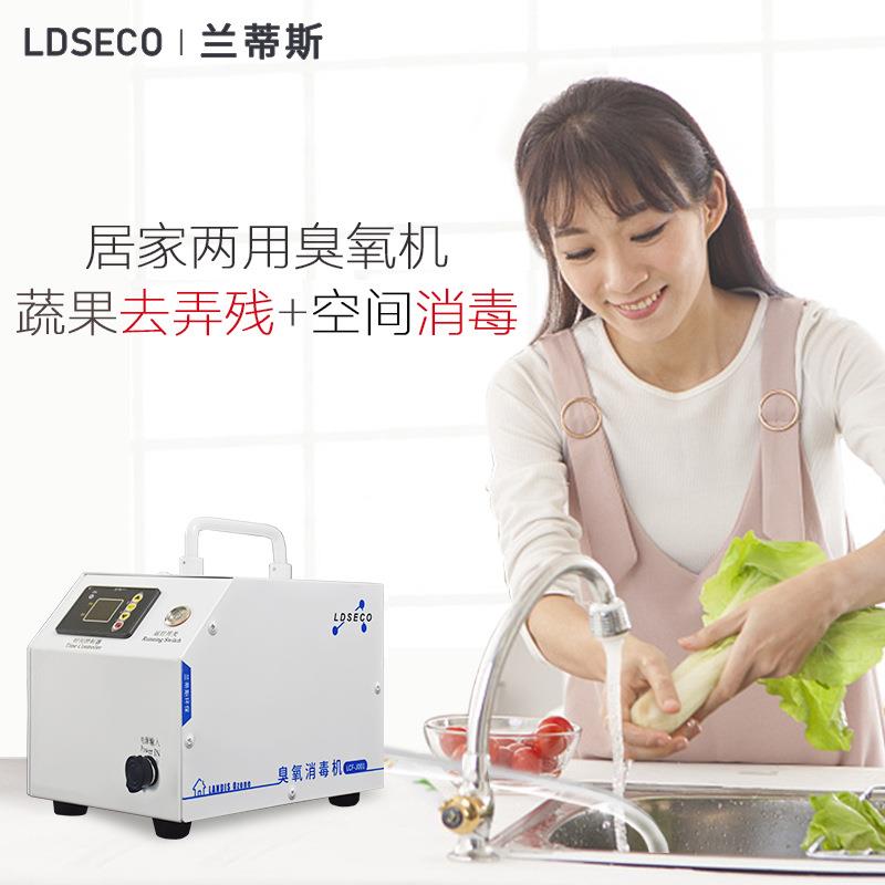 兰蒂斯厂家定时款1g小型办公室除甲醛家用去除农残臭氧发生器