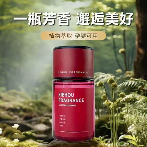 邂逅车载香薰高档持久留香除异味