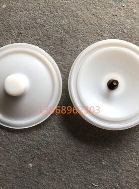 威尔顿气动隔膜泵膜片 00-00-特氟龙隔膜片耐腐蚀耐酸碱