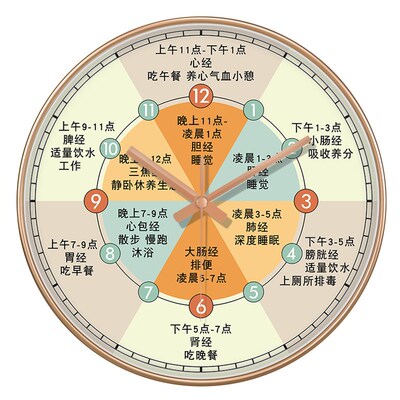 养生挂钟美容院时钟中医自动养生馆十二时L辰子午流注钟表推拿新