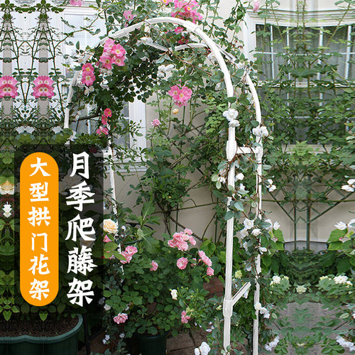 型拱门花架拱形藤本月季花藤支架玫瑰蔷薇铁线莲花园庭院架