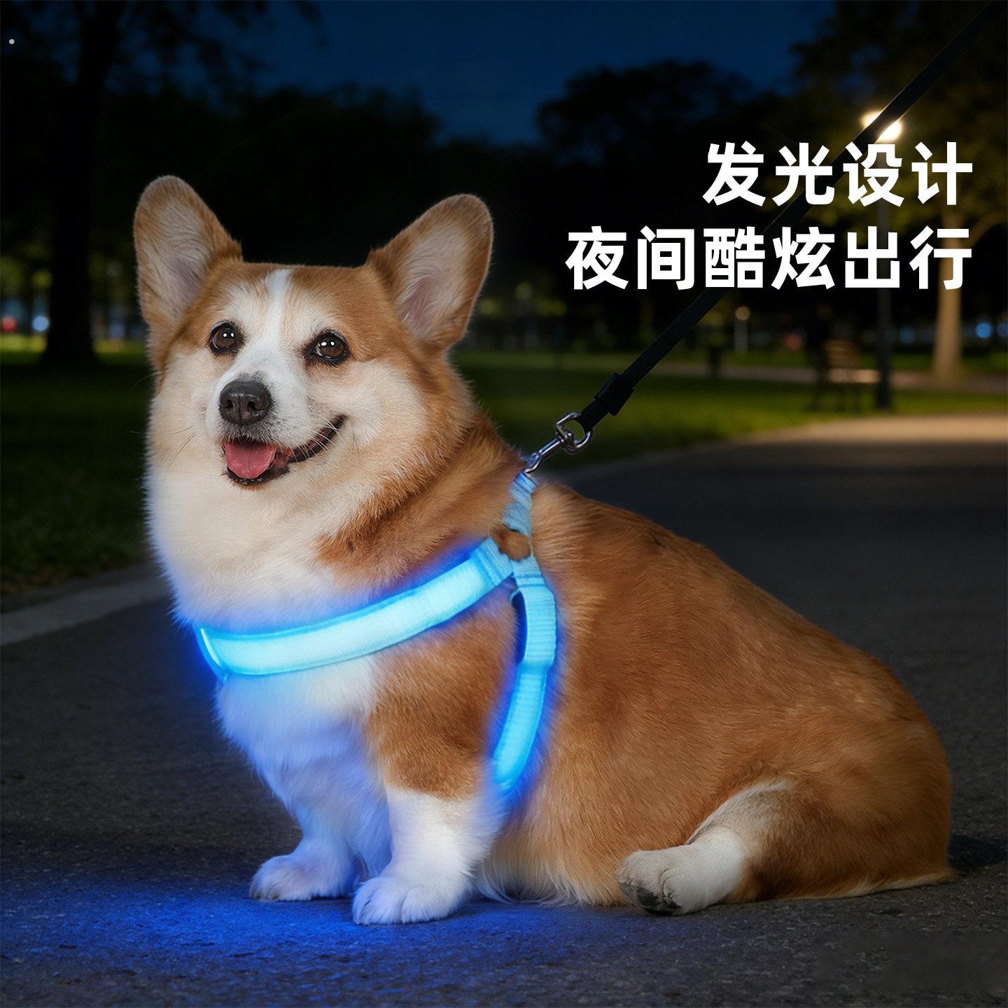宠物狗狗牵引绳夜间发光背带项圈胸背带遛狗绳柯基中型犬夜间遛狗
