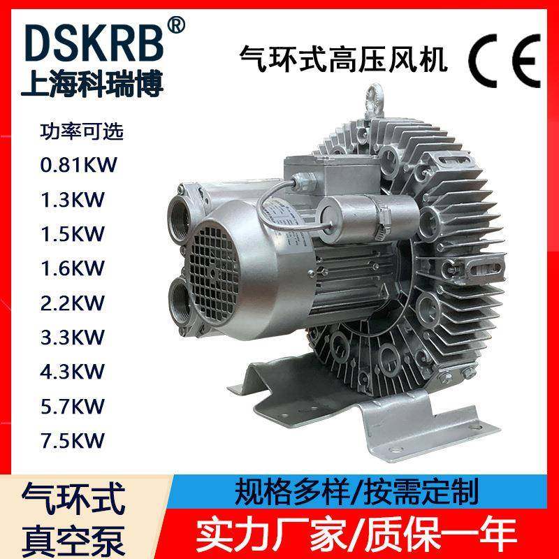 现货真空吸附大吸力4RB-610-H16380V2.2KW木工机械气环式真空泵