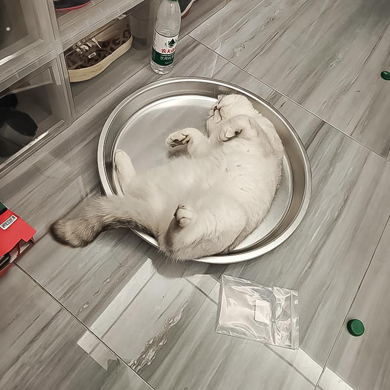 猫咪夏季铝盆猫窝睡觉降温散热神器宠物冰凉盆子子小型犬解暑睡盆
