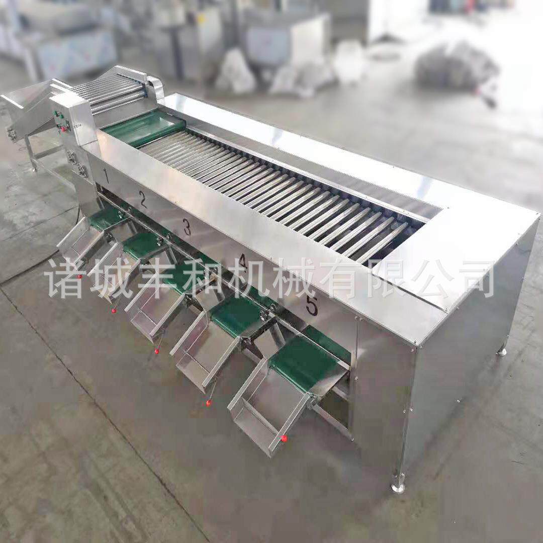 水果分级选果机 沃柑分级机 赣南脐橙分级机 丑橘分级机厂家直供
