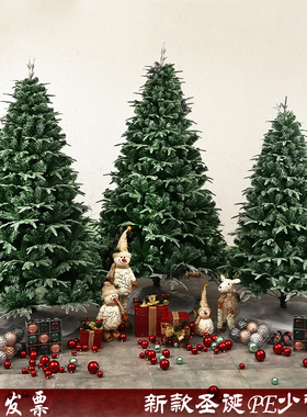 圣诞树加密白色仿真雪树高E雪花圣诞树结晶雪景拍摄大型装饰品