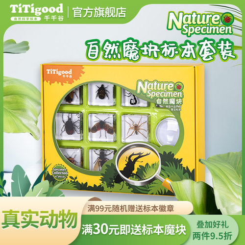 千千谷树脂标本小生益智玩具科认知小儿童科教实验