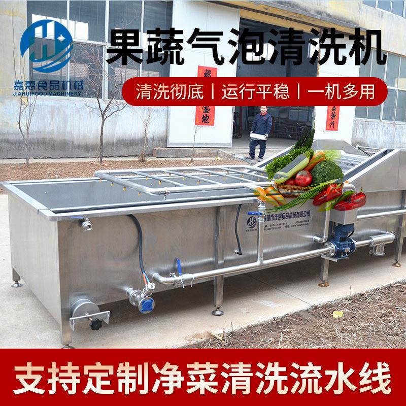 两段式气泡蔬菜清洗机红薯土豆气泡清洗线荔枝杨梅清洗设备