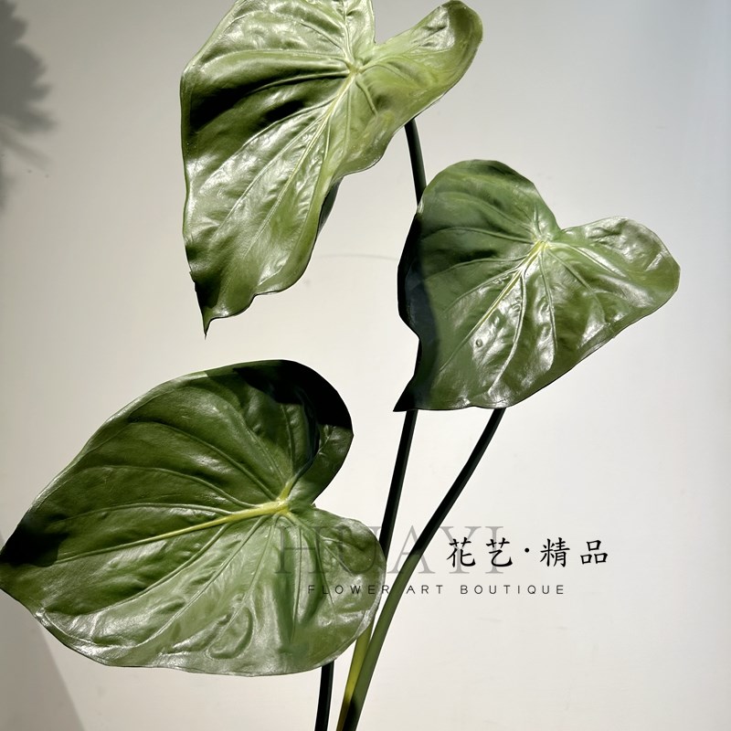 尖芋叶海芋叶仿真植物软装手感插花叶材花束美陈道具造景