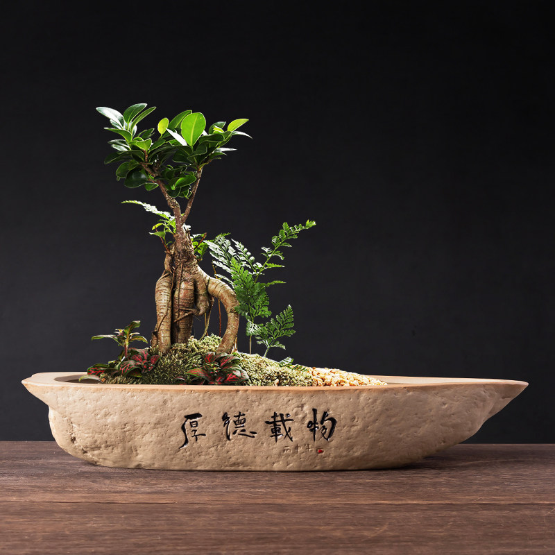 仿石文竹花盆长方形天然植物盆景口径室内百搭