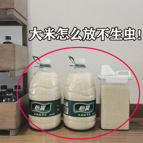 食品级装桶虫潮密封罐面粉粉储存箱收纳盒