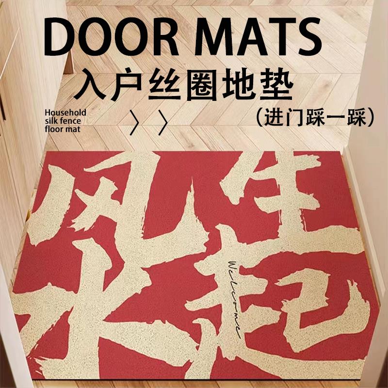 入户门地垫家用玄关大门口风水丝圈门垫进门蹭土脚垫防滑地垫子