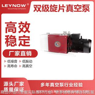 旋片式双极真空泵LD0090 实验室抽气泵工业用大功率抽真空机