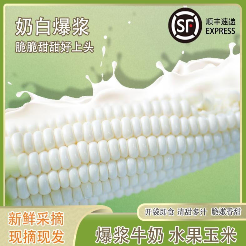 袋即食水果玉米当季新鲜采摘