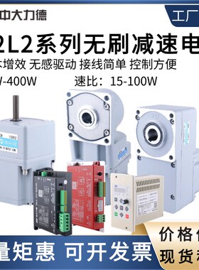 ZD中大220V高压无感无刷K2 L2 RC2电机15W-400W交流调速电机马达