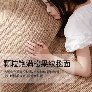 圆形仿亚麻剑麻原木家用防猫爪卧室全铺纯色地毯 地毯客厅2024新款