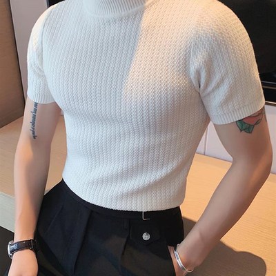美式硬汉风小高领t恤男修身型弹力短袖针织衫薄款透气中领打底衫