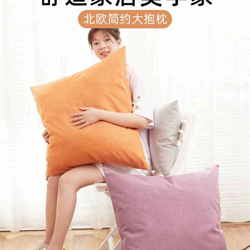 抱枕芯子沙发客厅内胆定制靠背垫床头靠枕套不含芯45x45夏季四季