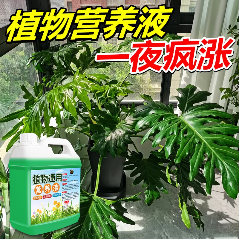 营养液植物通用型室内盆栽绿萝富贵竹发财树多肉水培养花卉绿植%