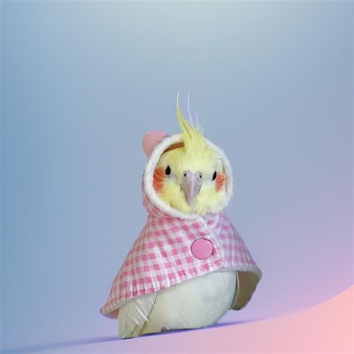 鹦鹉披风斗篷鸟衣服鹦鹉披风玄凤加厚保暖外出服鹦鹉用品鸟用品