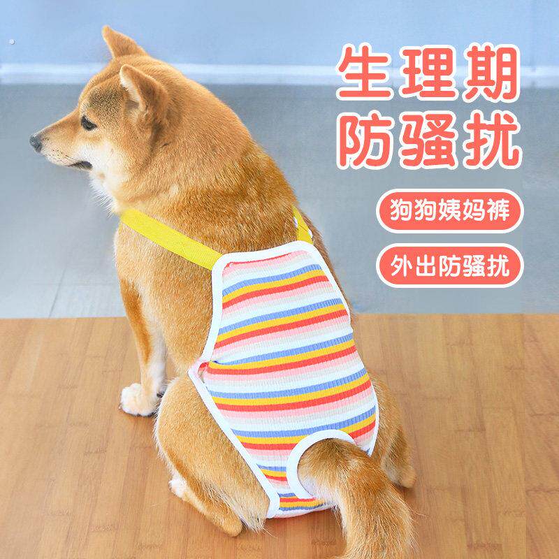 宠物狗狗生理裤姨妈裤经期防骚扰月经姨妈巾柴犬中型犬生理期用品