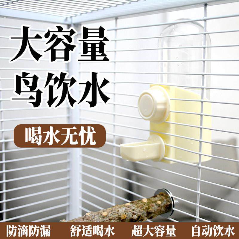 鹦鹉撞针水壶鸟用自动饮水器玄凤牡丹喝水器横丝竖丝通用鸟笼用品