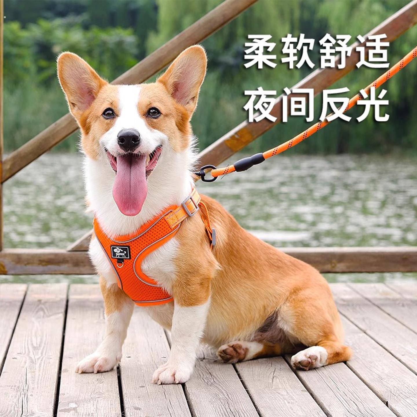 德国狗狗牵引绳背心式中小型犬柯基脖圈遛狗绳可调节胸抱婴袋狗炼