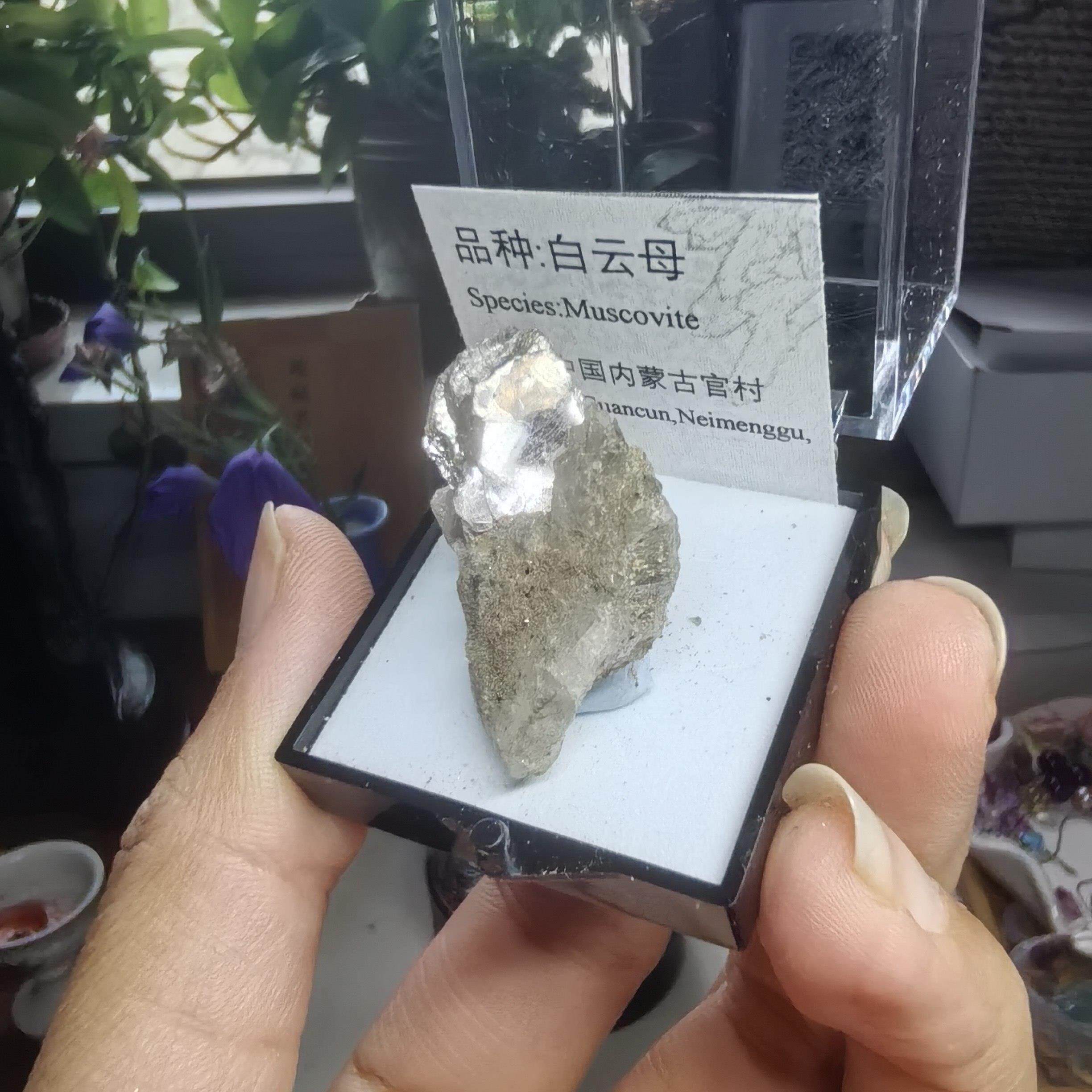 白云母天然矿物晶体标本盒子矿猫矿石原石宝石能量石晶石教学