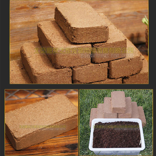 爬宠陆龟箱垫材乌龟冬眠饲养箱蜘蛛盒角蛙半水龟 椰砖 爬虫 椰土