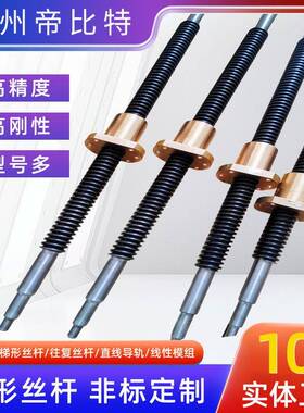 研磨梯tT形丝杆升降机04不锈钢双向正反丝杆TR256铜铁螺母