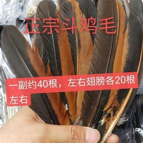 斗鸡毛斗鸡翅膀毛斗鸡羽毛斗鸡接羽毛粘翅膀